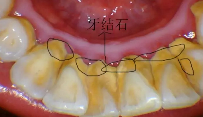 泸州口腔医院.png